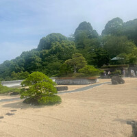 画像233