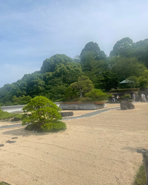 画像233